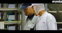 企业微党课 | 蒙牛集团《小家庭》