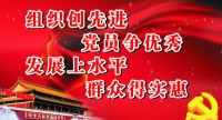 企业党建 | 企业党建“内生化”的可行性