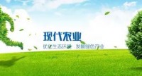 企业微党课 | 中国农业发展集团有限公司 央企纪检工作应具备能力和提升途径